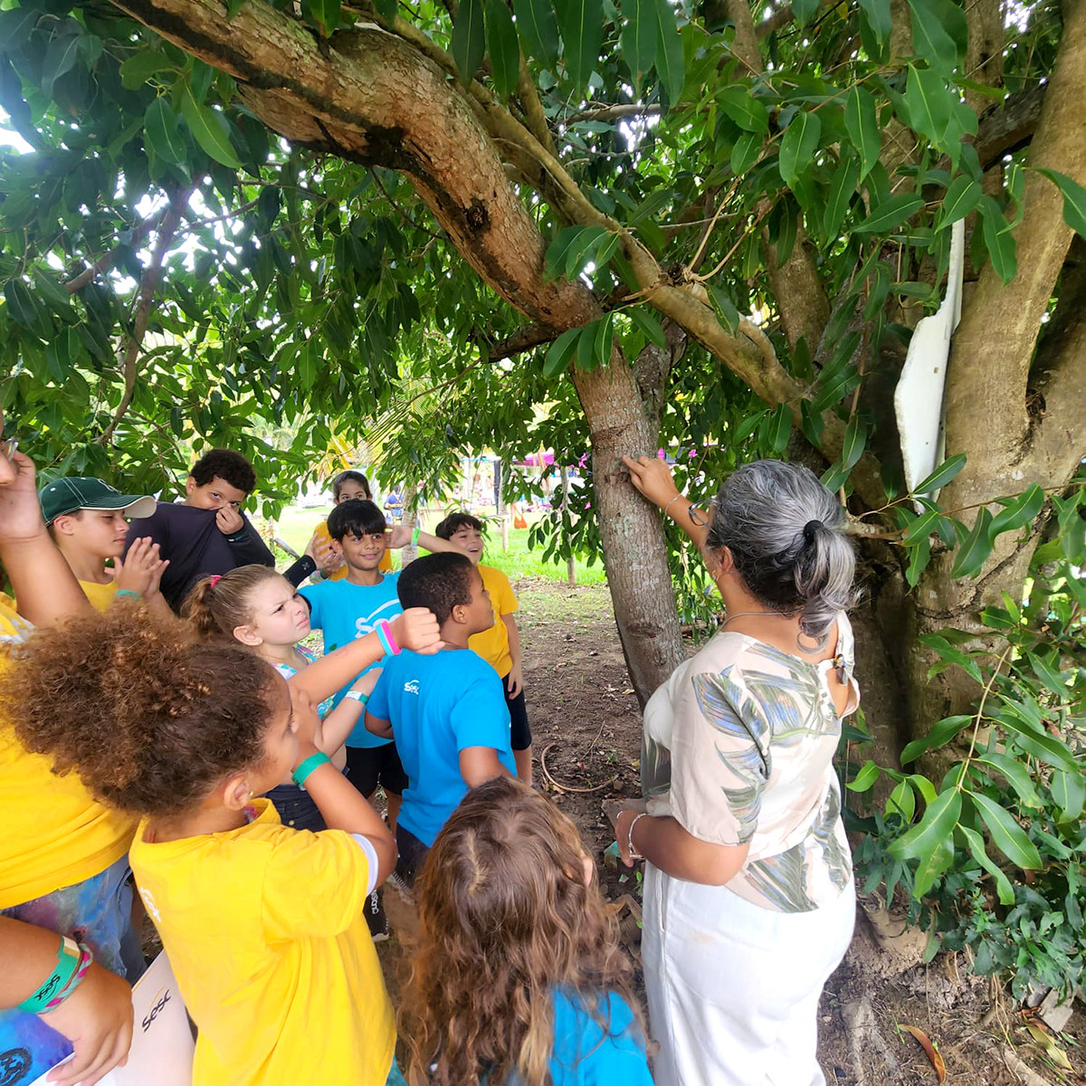 Projeto Entre Nós do SESC +INFÂNCIAS promove evento de educação ambiental em Lagoa de Cima, Campos 10